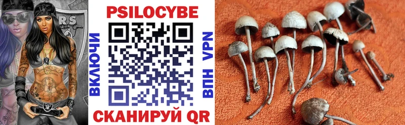Псилоцибиновые грибы Magic Shrooms mega зеркало Якутск