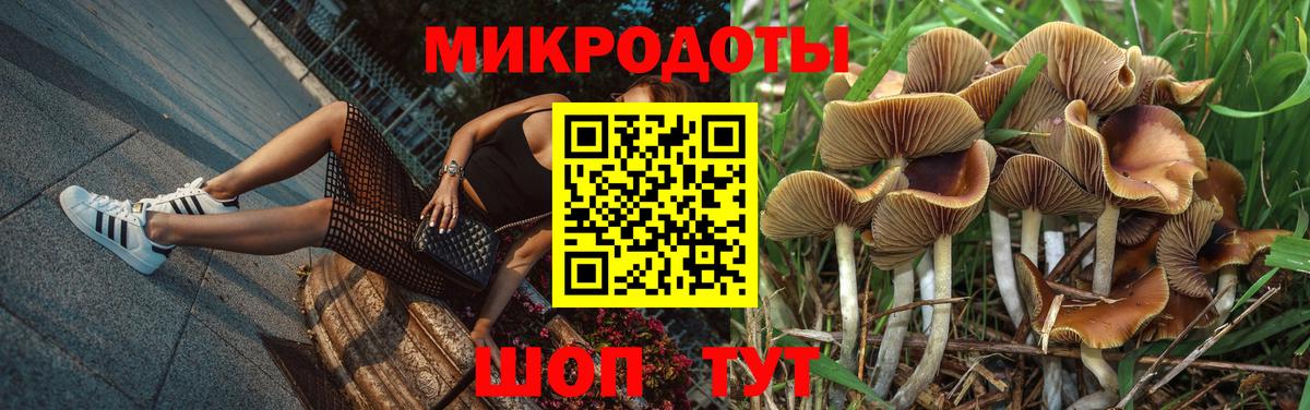 Якутск  Псилоцибиновые грибы Cubensis  Псилоцибиновые грибы MAGIC MUSHROOMS  купить наркотики цена  Вход с VPN 